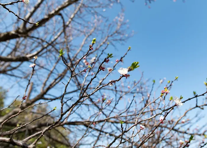 Kos Dream Family In Kos *